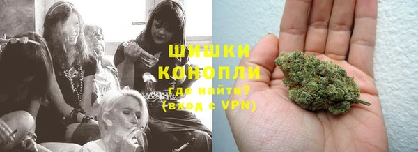 спайс Верея
