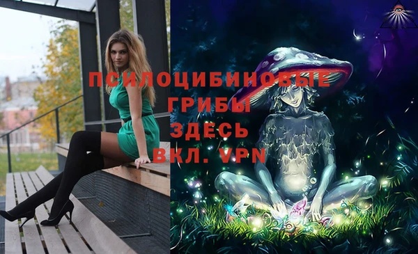 гашик Верхнеуральск