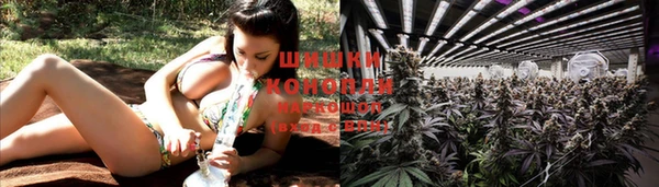 спайс Верея