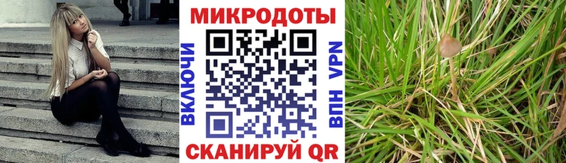 Галлюциногенные грибы Psilocybine cubensis  маркетплейс клад  Калач-на-Дону  ссылка на мегу сайт 